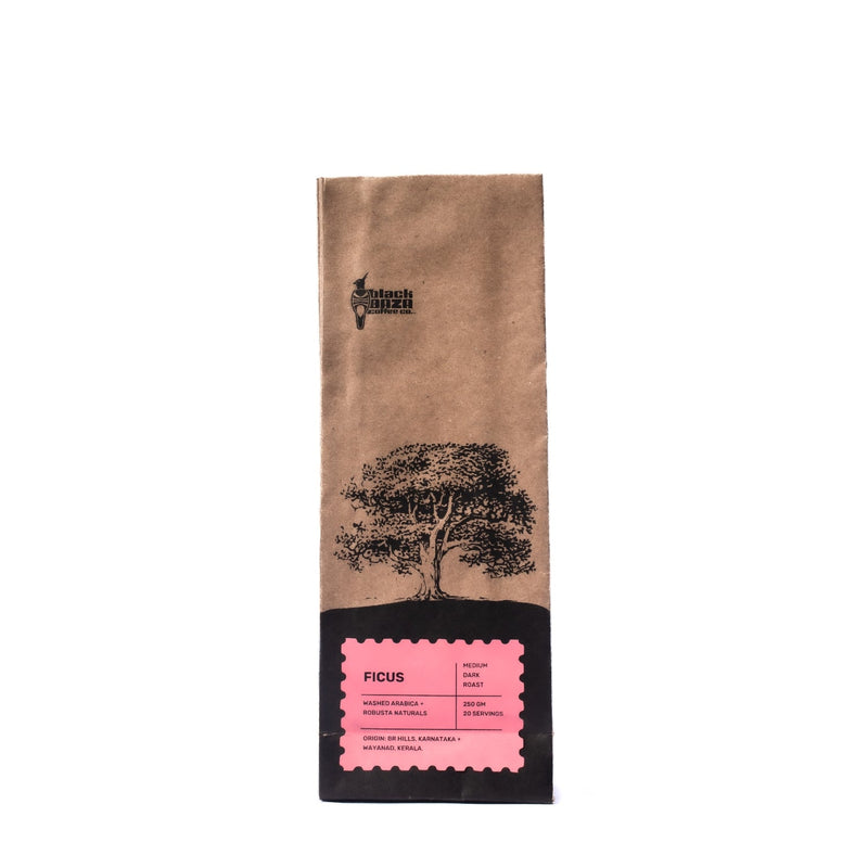 Black Baza Ficus Coffee - Caramelly