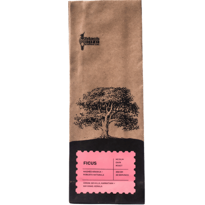 Black Baza Ficus Coffee - Caramelly